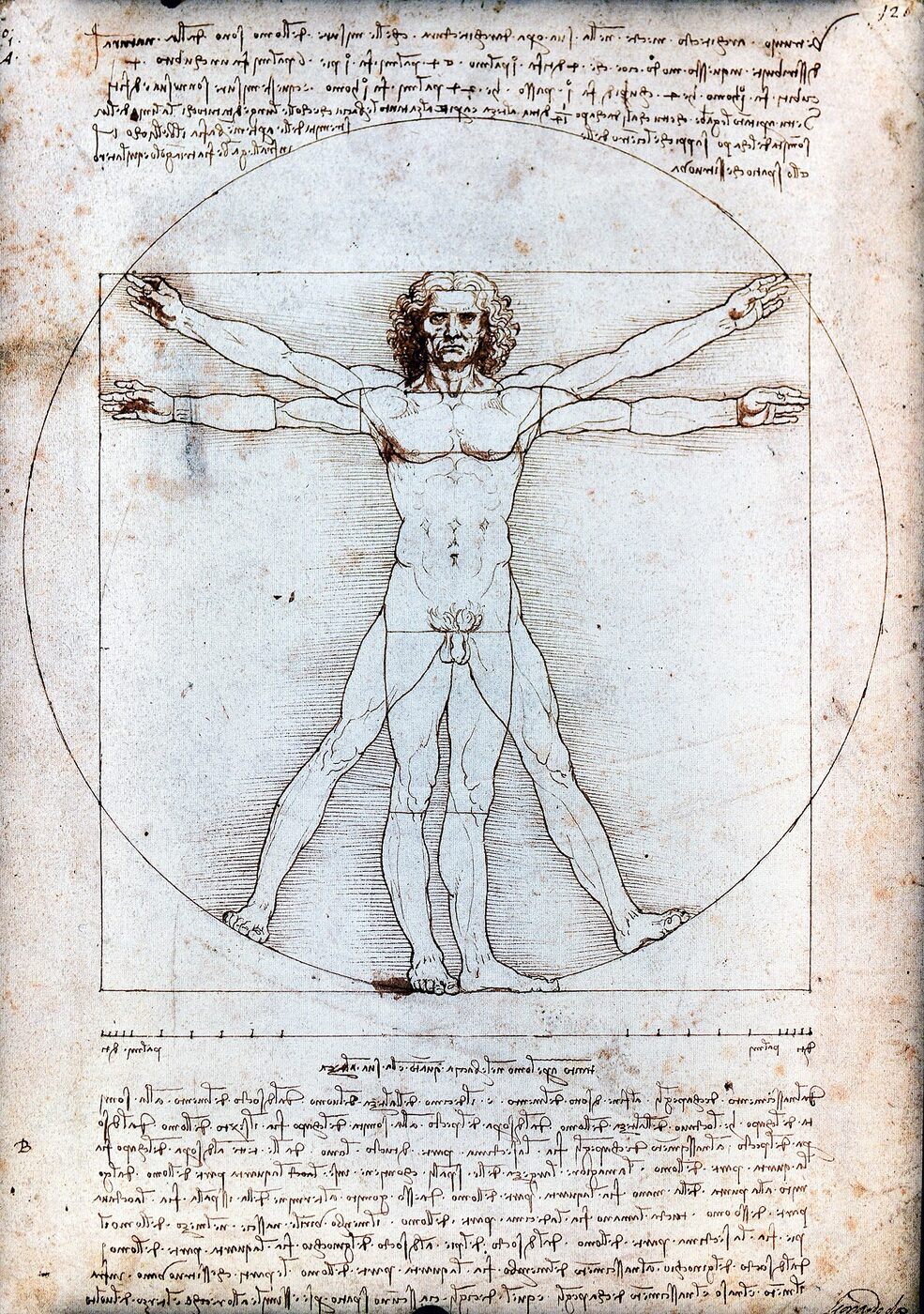 Cuerpo Físico